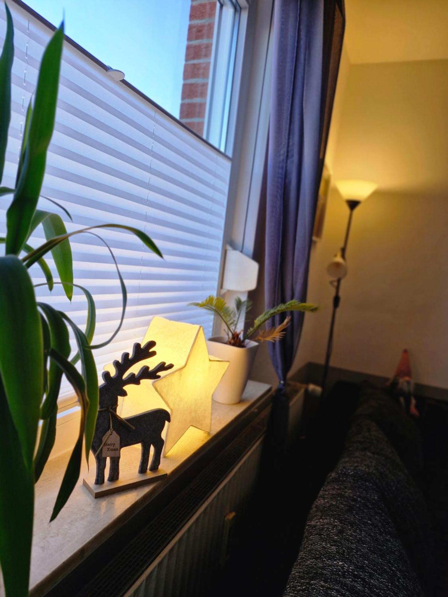 Apartment Mit Garten باد لوتربرغ المظهر الخارجي الصورة